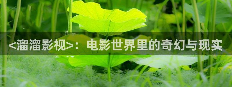 午夜电影av在线