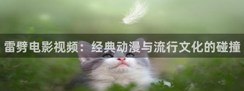 午夜伦理片电影网站