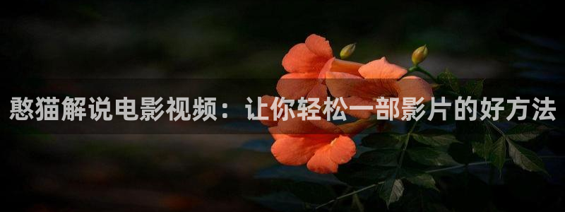 日韩福利精品午夜免费观看
