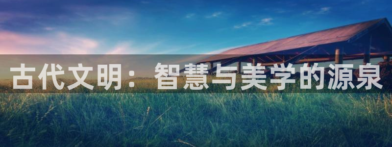 国内午夜爱爱片
