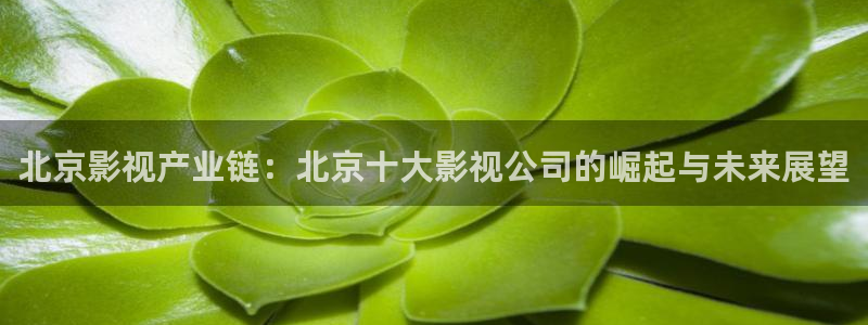 yy4480午夜场理论