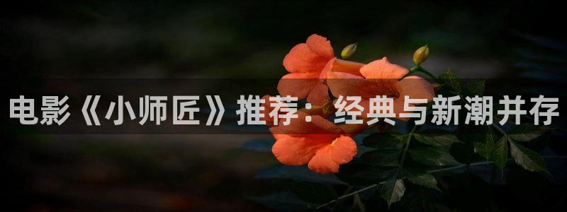 成人午夜免费大片