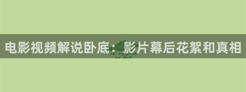 理论电影午夜