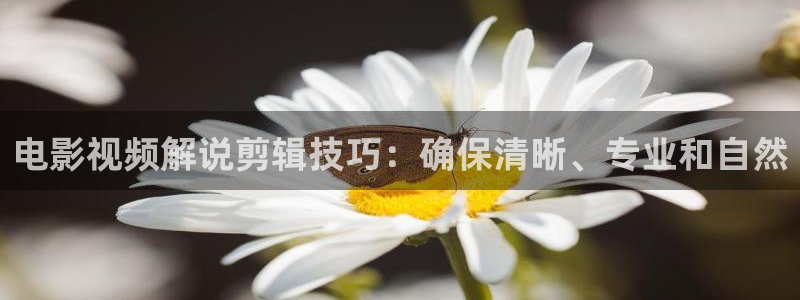 美国午夜电影
